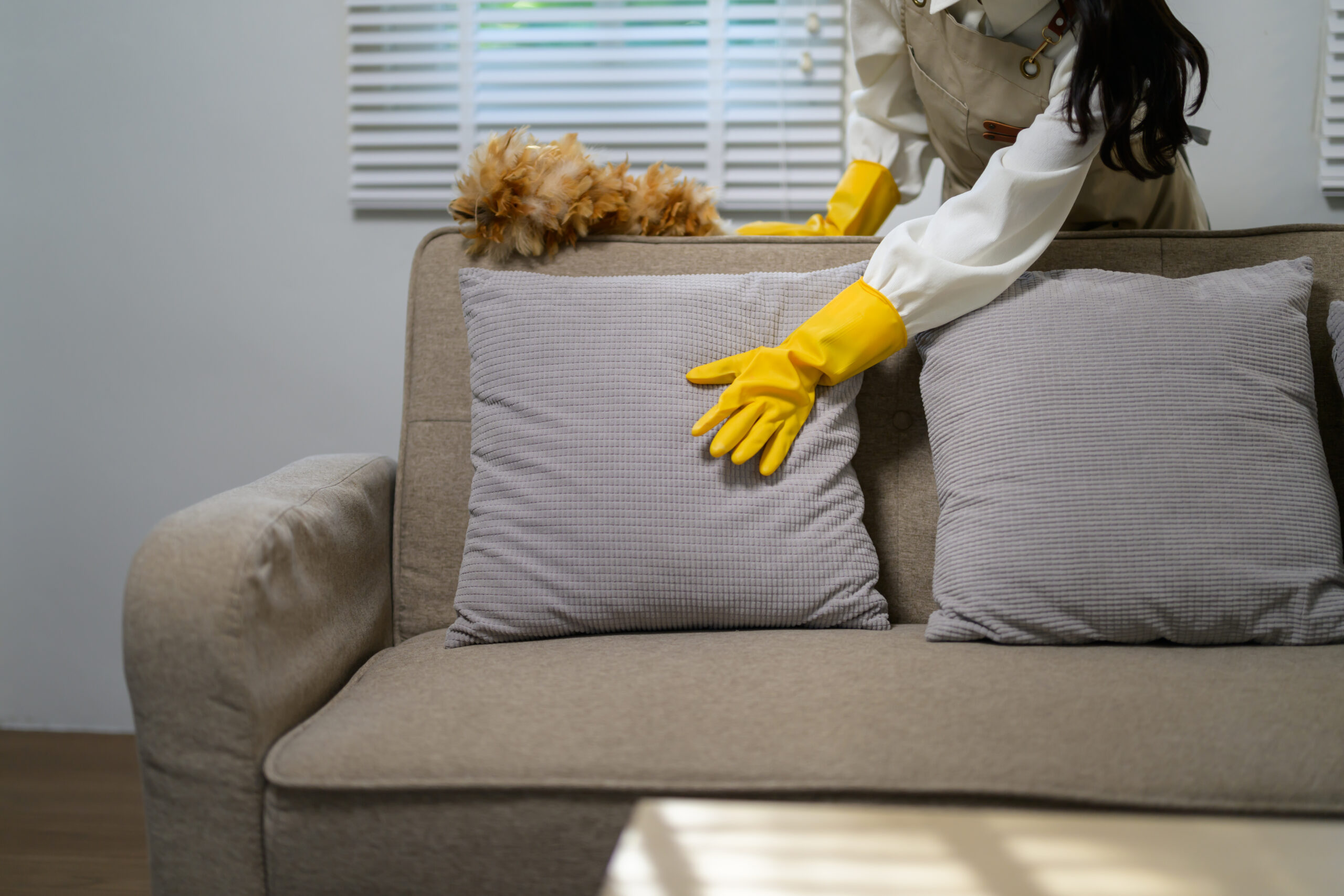 Apartment Cleaner Service Edwardsville il