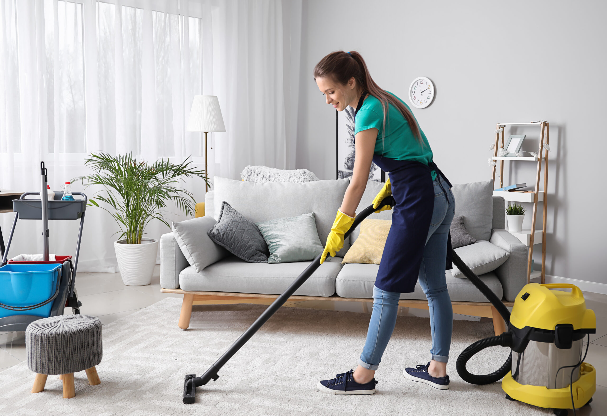 Apartment Cleaning Service Edwardsville il